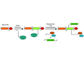 Chemical manufacturers in Roco Global