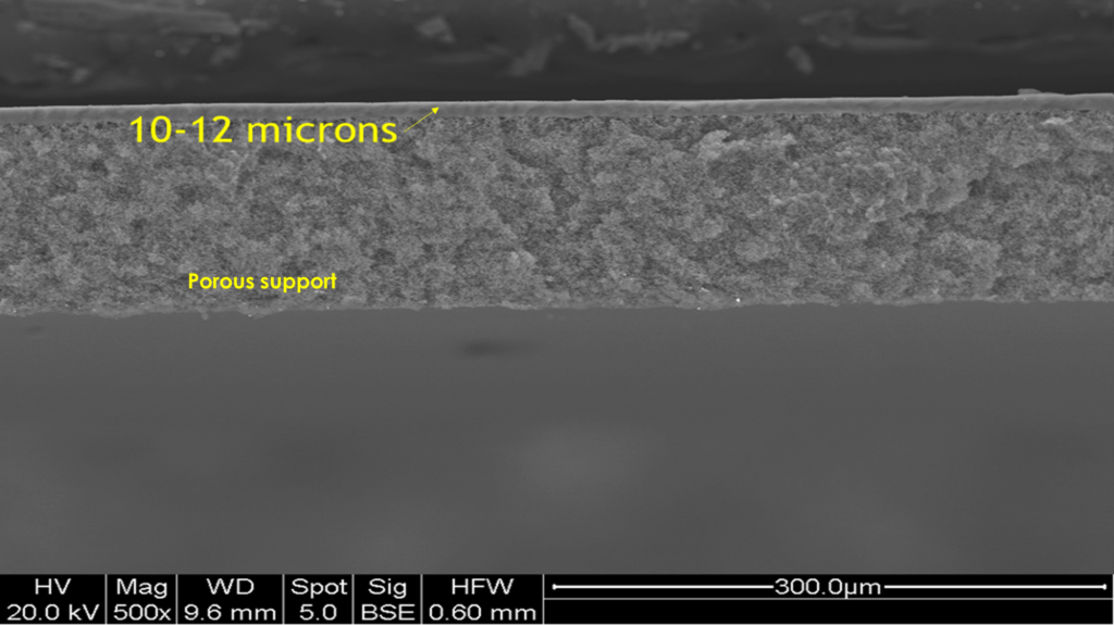 polyphosphazene Mixed matrix